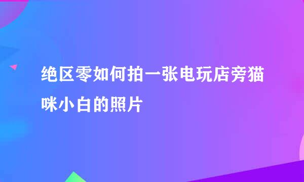 绝区零如何拍一张电玩店旁猫咪小白的照片