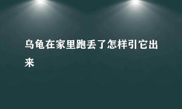 乌龟在家里跑丢了怎样引它出来