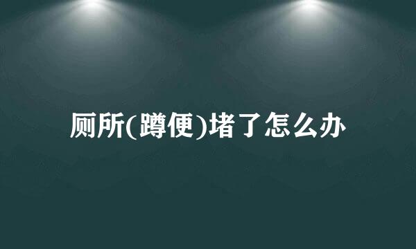 厕所(蹲便)堵了怎么办