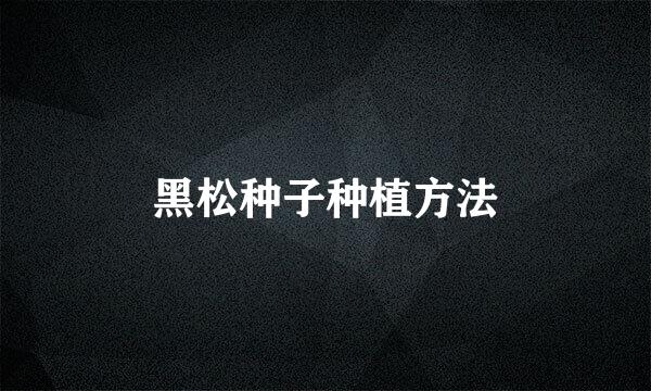 黑松种子种植方法