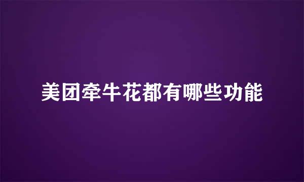 美团牵牛花都有哪些功能