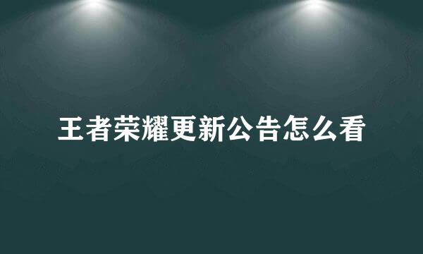 王者荣耀更新公告怎么看