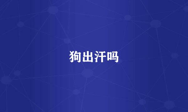 狗出汗吗