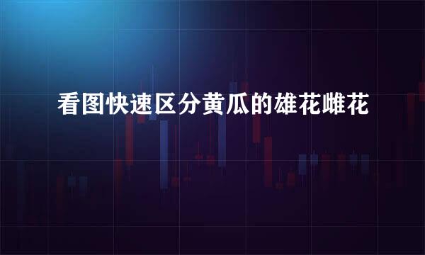看图快速区分黄瓜的雄花雌花