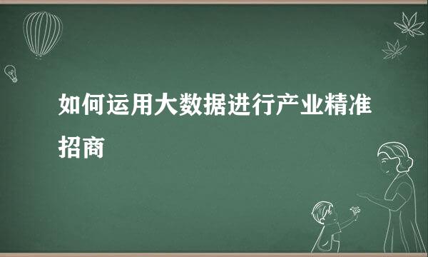如何运用大数据进行产业精准招商