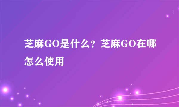芝麻GO是什么?芝麻GO在哪怎么使用