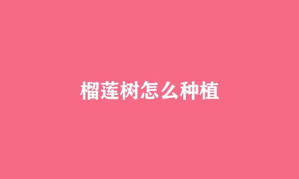 榴莲树怎么种植