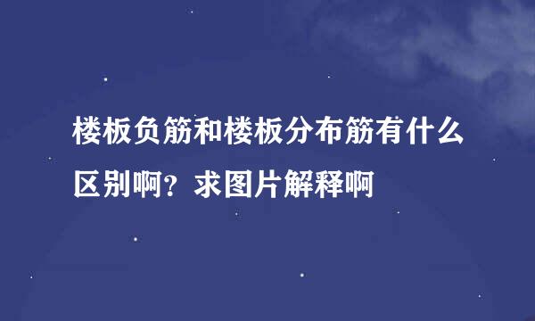 楼板负筋和楼板分布筋有什么区别啊?求图片解释啊