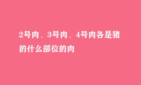 2号肉、3号肉、4号肉各是猪的什么部位的肉