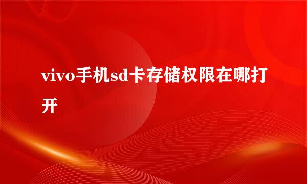 vivo手机sd卡存储权限在哪打开