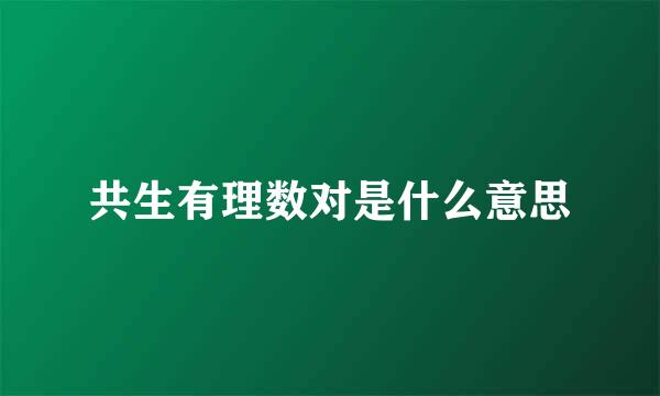 共生有理数对是什么意思