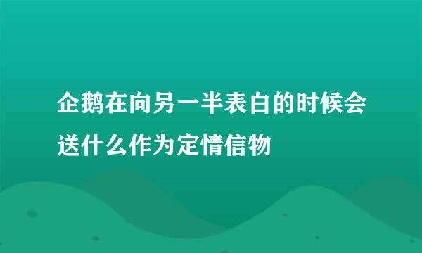 企鹅在向另一半表白的时候会送什么作为定情信物