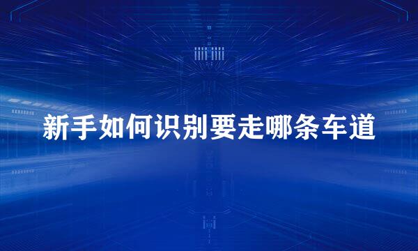 新手如何识别要走哪条车道