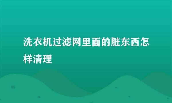 洗衣机过滤网里面的脏东西怎样清理