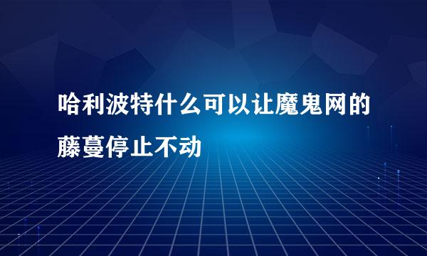 哈利波特什么可以让魔鬼网的藤蔓停止不动