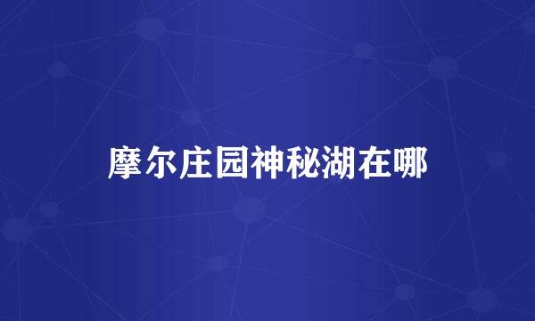 摩尔庄园神秘湖在哪