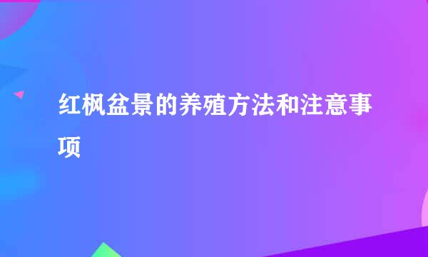 红枫盆景的养殖方法和注意事项