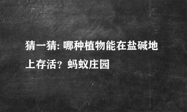 猜一猜: 哪种植物能在盐碱地上存活？蚂蚁庄园