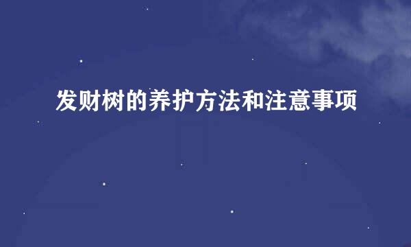 发财树的养护方法和注意事项