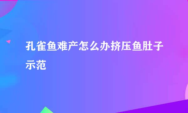 孔雀鱼难产怎么办挤压鱼肚子示范