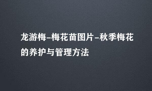 龙游梅-梅花苗图片-秋季梅花的养护与管理方法