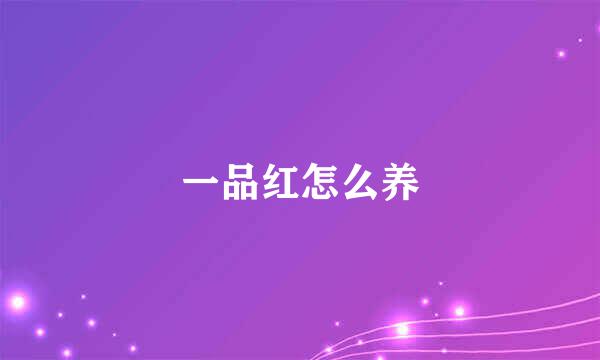一品红怎么养