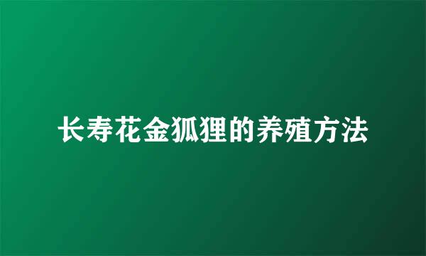 长寿花金狐狸的养殖方法