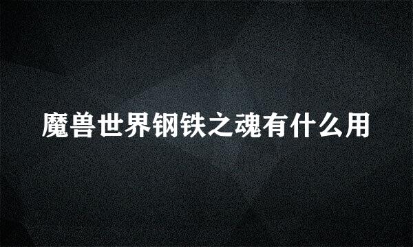 魔兽世界钢铁之魂有什么用