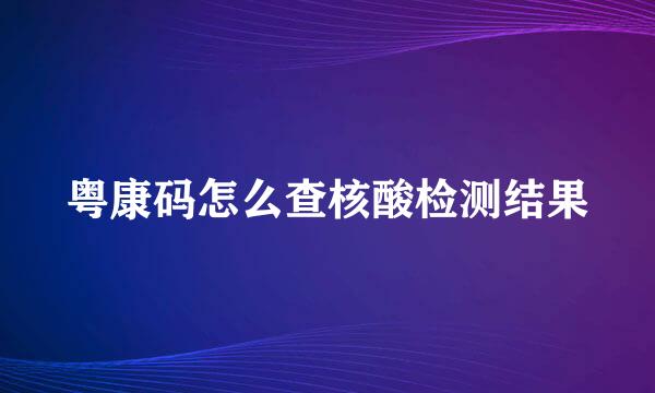 粤康码怎么查核酸检测结果