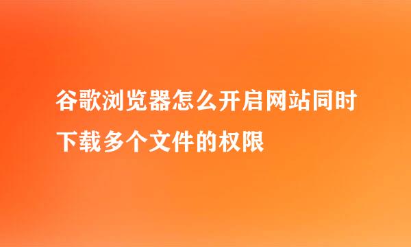 谷歌浏览器怎么开启网站同时下载多个文件的权限