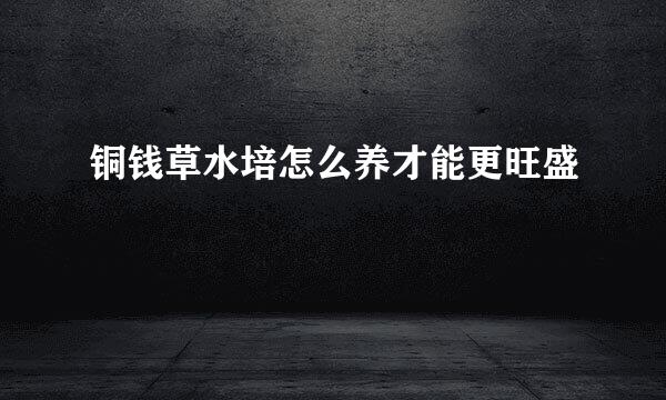 铜钱草水培怎么养才能更旺盛