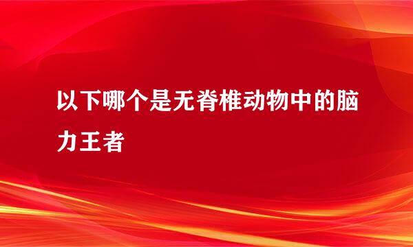 以下哪个是无脊椎动物中的脑力王者