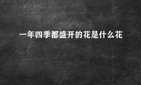 一年四季都盛开的花是什么花