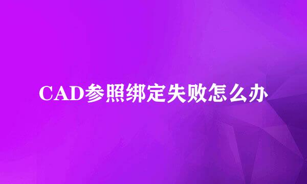 CAD参照绑定失败怎么办