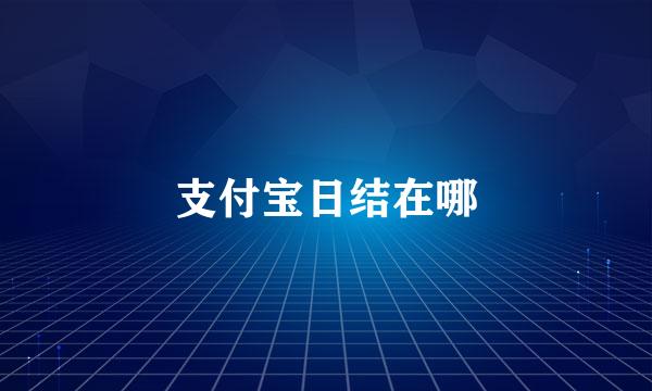 支付宝日结在哪