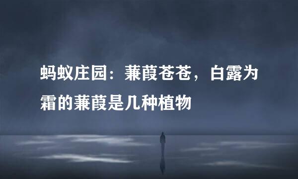 蚂蚁庄园：蒹葭苍苍，白露为霜的蒹葭是几种植物