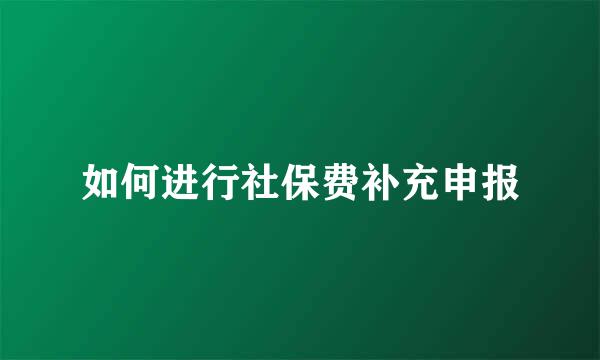 如何进行社保费补充申报