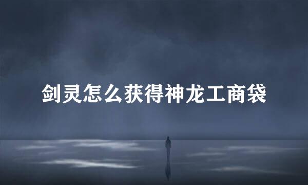 剑灵怎么获得神龙工商袋