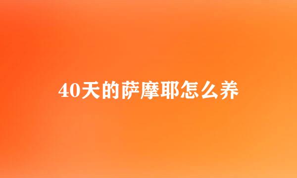 40天的萨摩耶怎么养
