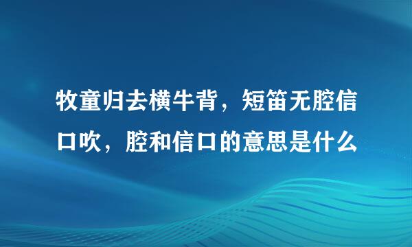 牧童归去横牛背，短笛无腔信口吹，腔和信口的意思是什么