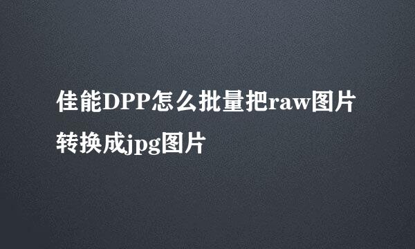 佳能DPP怎么批量把raw图片转换成jpg图片
