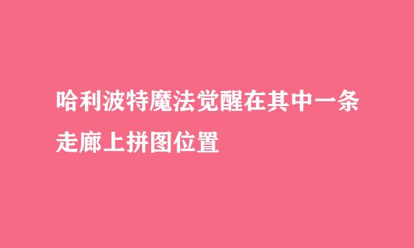 哈利波特魔法觉醒在其中一条走廊上拼图位置