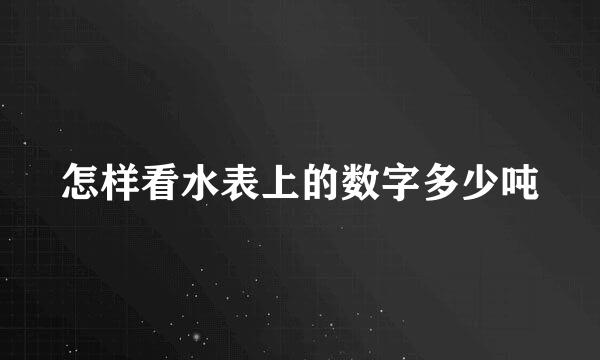 怎样看水表上的数字多少吨