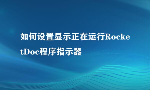 如何设置显示正在运行RocketDoc程序指示器