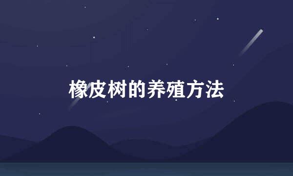 橡皮树的养殖方法