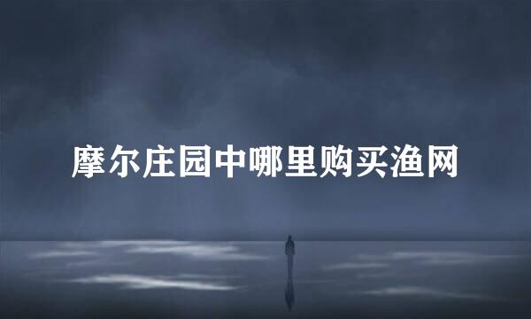 摩尔庄园中哪里购买渔网
