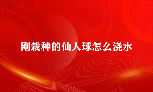 刚栽种的仙人球怎么浇水