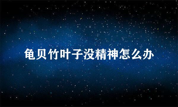 龟贝竹叶子没精神怎么办