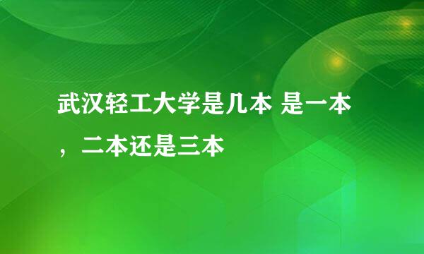 武汉轻工大学是几本 是一本，二本还是三本