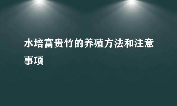 水培富贵竹的养殖方法和注意事项